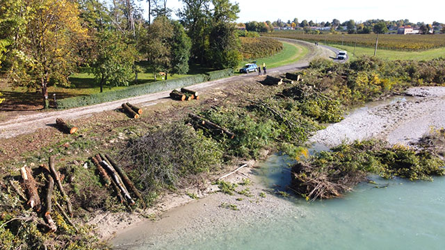 ZANONI PD LA STRAGE DI ALBERI NELLE AREE GOLENALI DEL PIAVE UN 